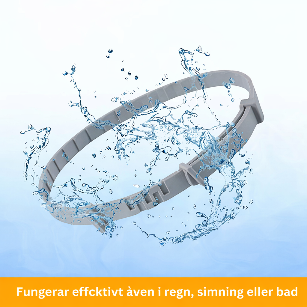 Fästing & Lopphalsband för Hund