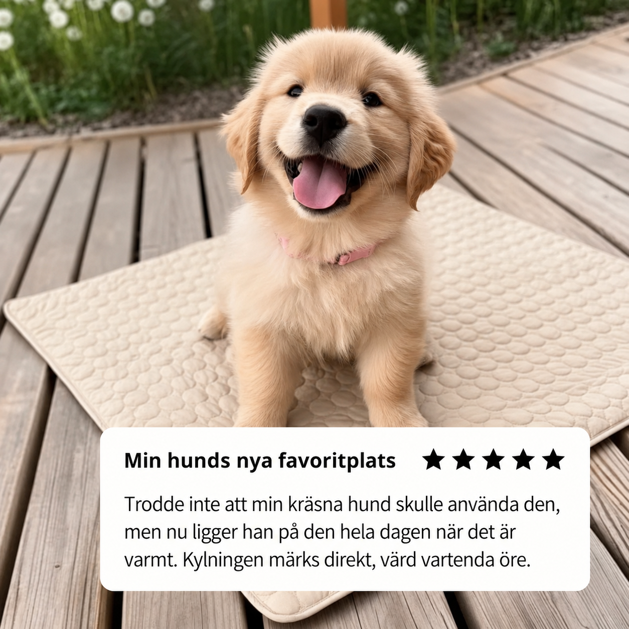 ArticPaw™ - Hund kylmatta