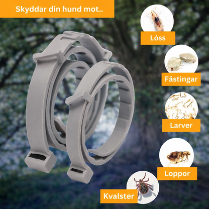 Fästing & Lopphalsband för Hund